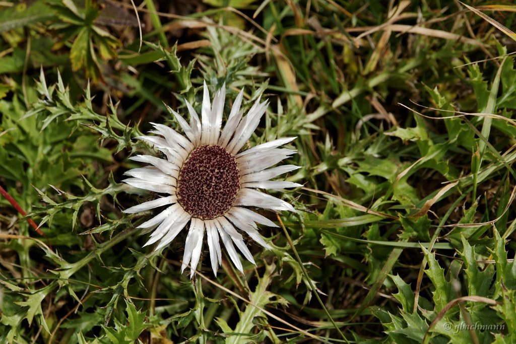 20120917_077